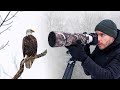 Snowstorm in maine birds deer and fishers  wildlife vlog