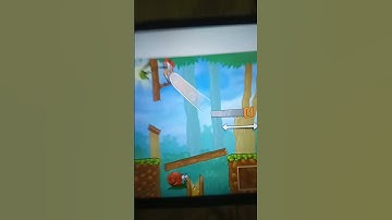 snail bob all glitches