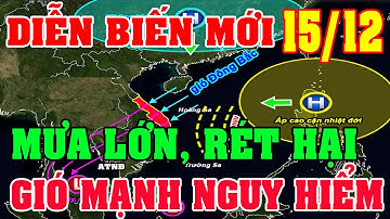 🔴 Ngày 15/12_KKL Tăng Cường Mạnh_Mưa Lớn Kéo Dài Đến Bao Giờ_Mùa Bão Dị Thường_Diy Skills