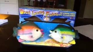 Duet Loving Fishes
Duet Loving Fishes Duet Loving Fishes