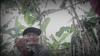 VIRAL KAKEK 99TAHUN JUALAN SAPU KELILING