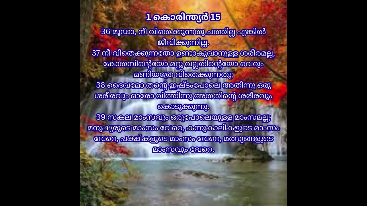 1 കൊരിന്ത്യർ 15