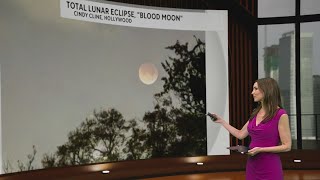 South Florida dazzled by blood moon lunar eclipse on Tuesday morning