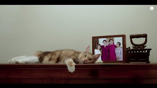 Fashionvalet Raya 2016 - International Version