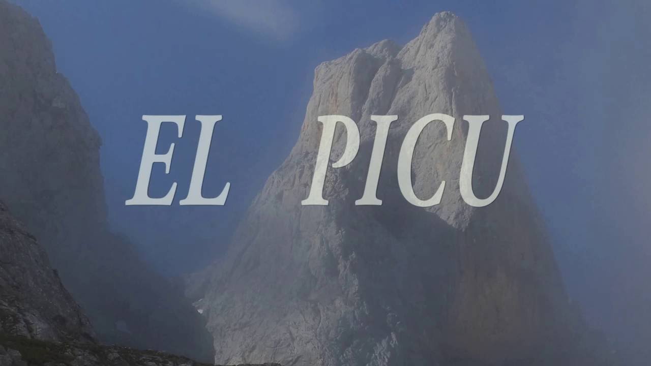 EL PICU