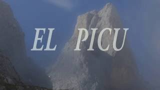 EL PICU