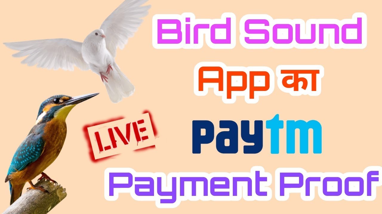 Bird Sound Application Live Paytm Payment Proof