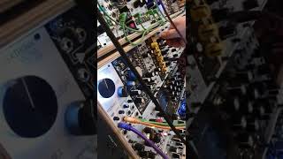 Mutable instruments Ripples (2020) - Eurorack Module on ModularGrid