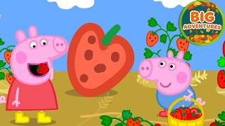 Peppa Pig Finds a GIANT Strawberry! 🍓 Fruit Picking Adventure | Full Episodes | 36 Mins screenshot 5