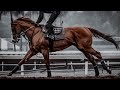 MIC Drop || Horse Racing Music Video