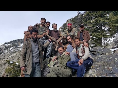 Jim Shockey s Uncharted Pakistan  Hunt for the #markhor   in |KaigahCOnservation| #conservation