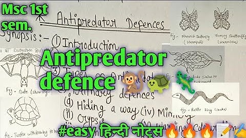 #Antipredator defence 🐒🐢🦎🐦#msc zoology 1st semester #full हिन्दी easy notes 🔥🔥🔥📝📝✍️✍️