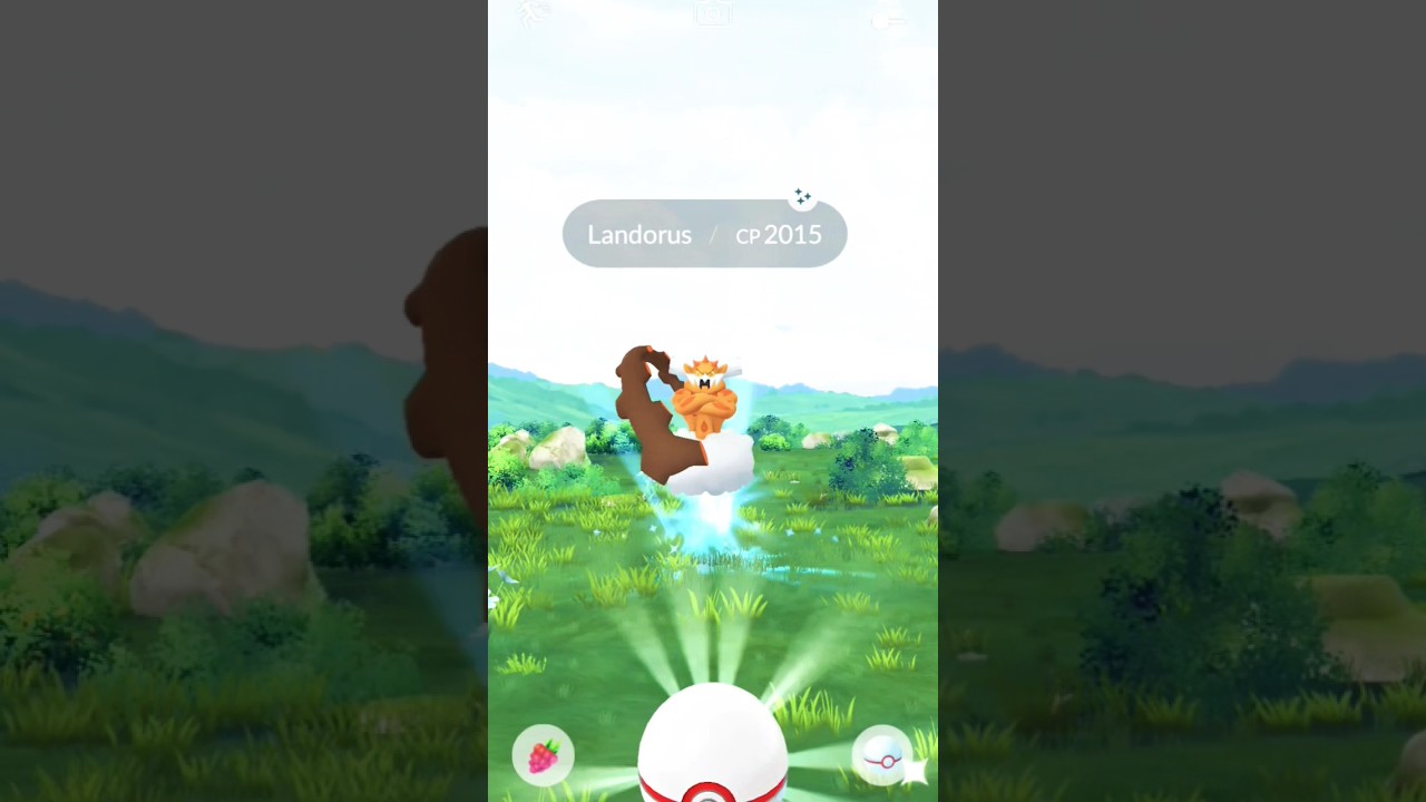 Hunting rare Shiny Landorus 