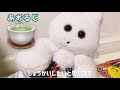 生活まとめ13【きんたろうのあおるじやさん・うめこぞうとの遭遇 など】