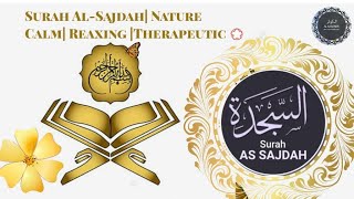 Qari Syed Sadaqat Ali /Surah As-Sajdah Nature | Calm | Relaxing | Therapeutic 🤍