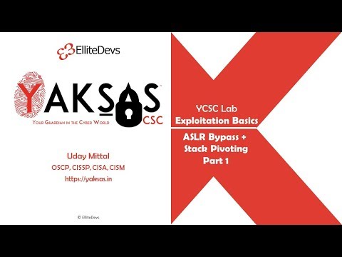 Develop exploits using