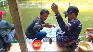 UMPAN RF05 BERULAH LAGI,HARI INI KITA BONTAL ‼️‼️‼️ ||Mancing ikan mas||