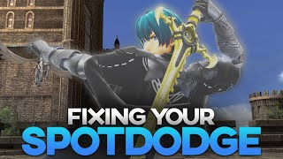 YOU USE SPOTDODGE INCORRECTLY!