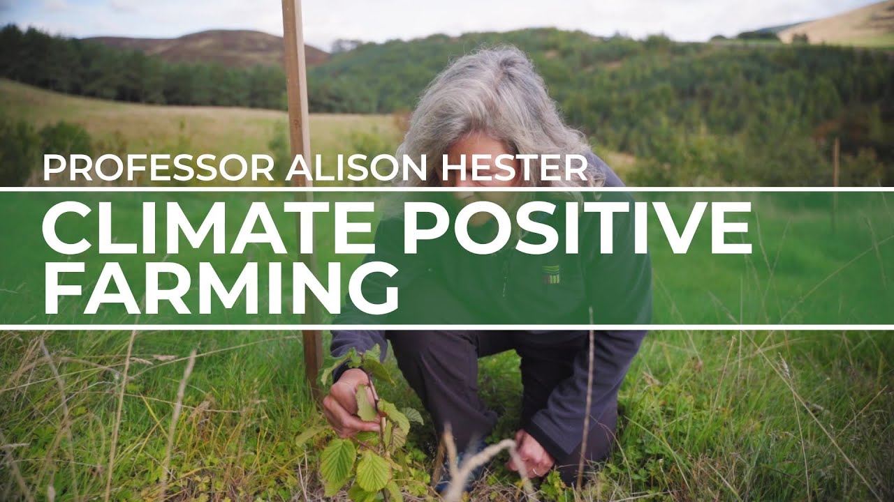 Professor Alison Hester, FRSB | Climate Positive Farming | Biology for a Better Tomorrow