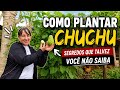 COMO PLANTAR CHUCHU | SEGREDOS QUE TALVEZ VOC&Ecirc; N&Atilde;O SAIBA