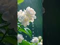 bangla gan || #music #banglasong #ফুলেররাজ্য