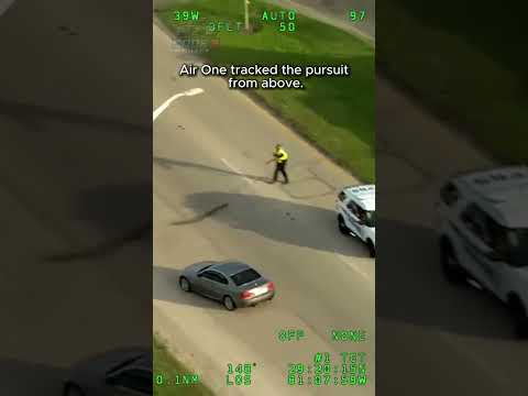 He Thought He Got Away #PoliceChase #K9 #Sheriff #Dashcam #Bodycam #LawEnforcement #Arrest #Florida