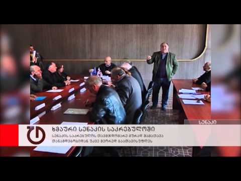 ხმაური სენაკის საკრებულოში