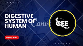 Digestive system part 4 by dr.milan gaire #ceeaspirant
