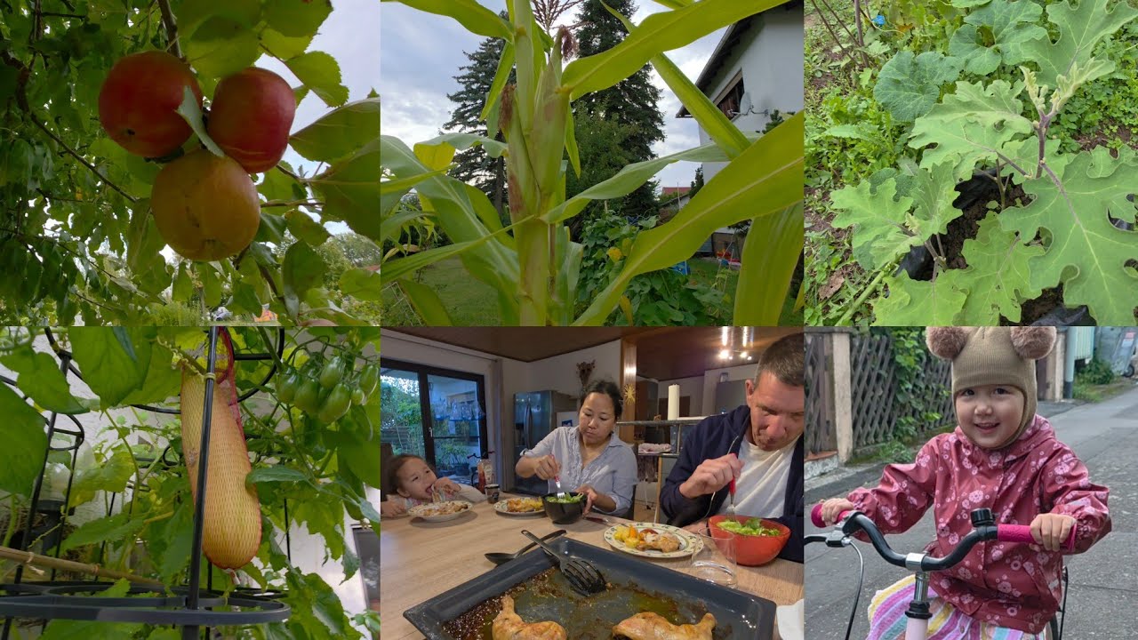 Update on my Naga Kitchen Garden||Hubby Shopping at Jack & Jones ||A Healthy Meal for Dinner 😋 