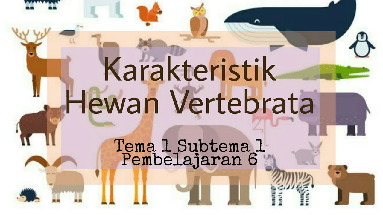 Karakteristik Hewan  Vertebrata  dan  Invertebrata  YouTube