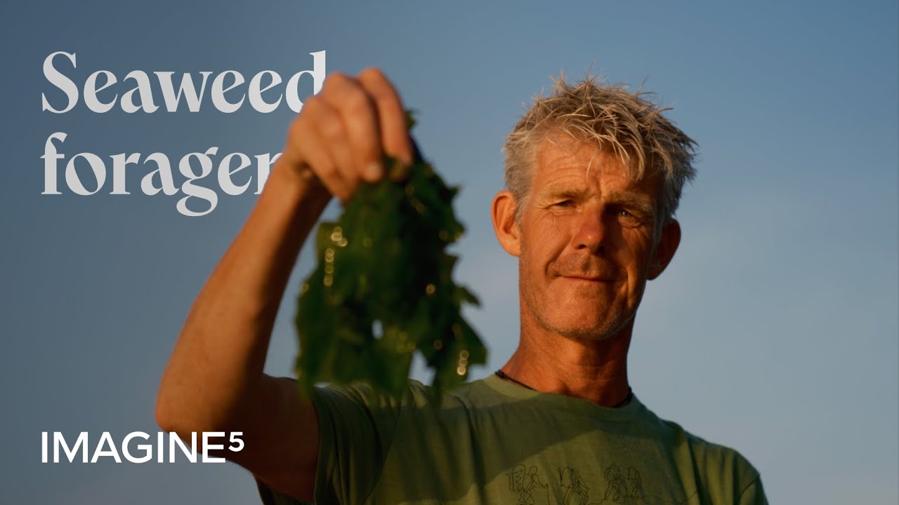 How does foraged food make it to a high-end restaurant? | Imagine5 ...