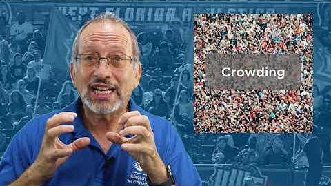 Spectator Violence Triangle