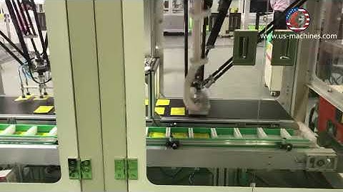 Spider robot hand bag sorting feeding convey machine running video