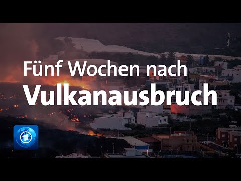La Palma: fünf