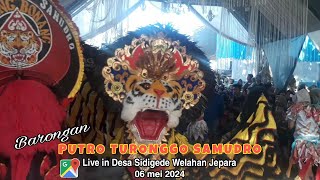 PUTRO TURONGGO SAMUDRO Live in Desa Sidigede Welahan Jepara 2024