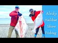 How to Catch Halibut From Shore Alaska 2021