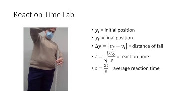 Reaction Time Lab