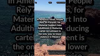 In America, Most People Rely on Parents. Reducing cartel size is the way to lower violence in Mexico