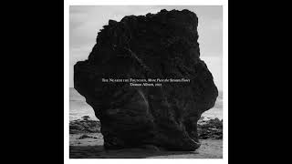 Damon Albarn - Bollocked Man / Huldufólk (Nearer The Fountain Japanese Bonus Tracks)