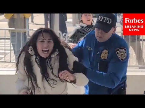 WATCH: Anti-Musk Protesters