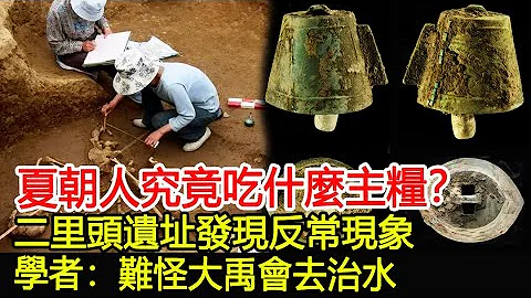 夏朝人究竟吃什麼主糧？二里頭遺址發現反常現象，學者：難怪大禹會去治水︱大禹︱夏朝︱二里頭︱堯︱舜︱考古︱奇聞#歷史風雲天下 - 天天要聞