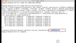 4.3.3 Parallelizing Loop 2