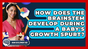 How Does The Brainstem Develop During A Baby
