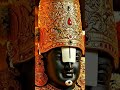 #tirupatibalaji#venkitesha#tirumalatirupati#hindutemple#hindudevotionalsong