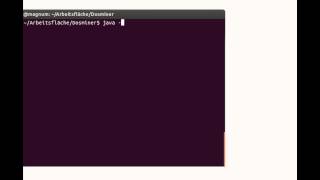 ~How to Install Dosminer java edition~ Part 2: Unix