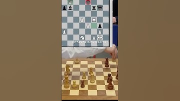 Two Grandmasters got into it after a Touch move rule at the 2023 world Blitz Championship #shorts