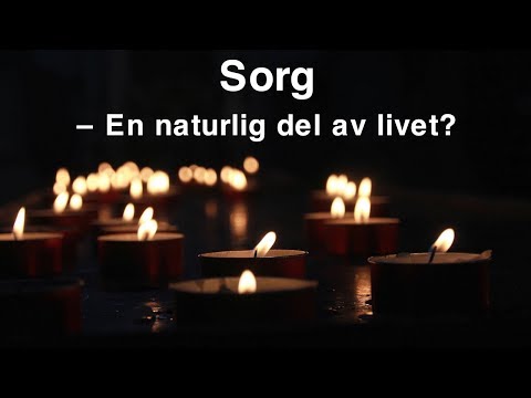 Video: Hur Man Inte Blir Galen Av Sorg