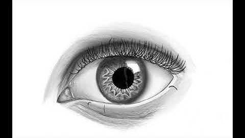 Draw Eye | Samsung Tab | Time-lapse | Autodesk Sketchbook