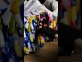Sock Art Gone Wild! 😂 Who's the Crafty Genius? 🤔