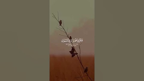 حالات واتس قرآن| القارئ شريف مصطفى